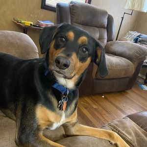 Meet your Posher, Tracey